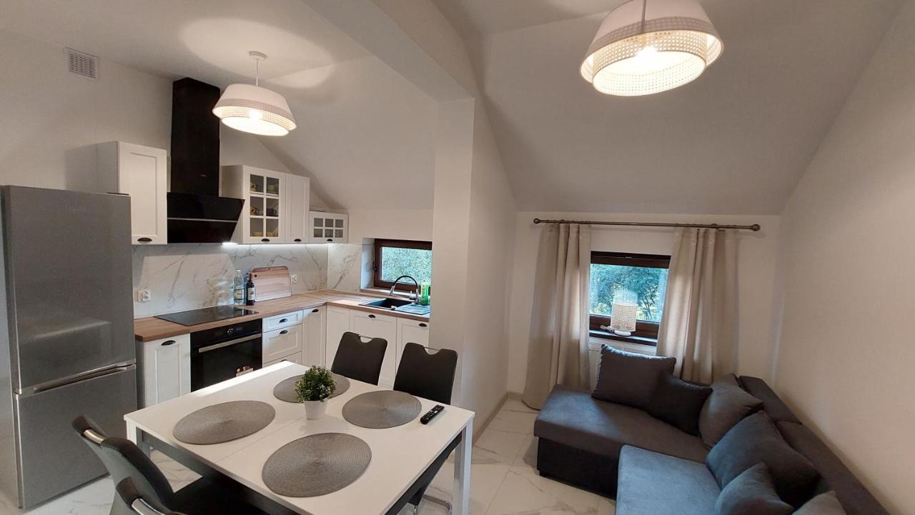 Apartamenty Starowiejska 39, Ryczow - 10Km Od Zator Energylandia المظهر الخارجي الصورة